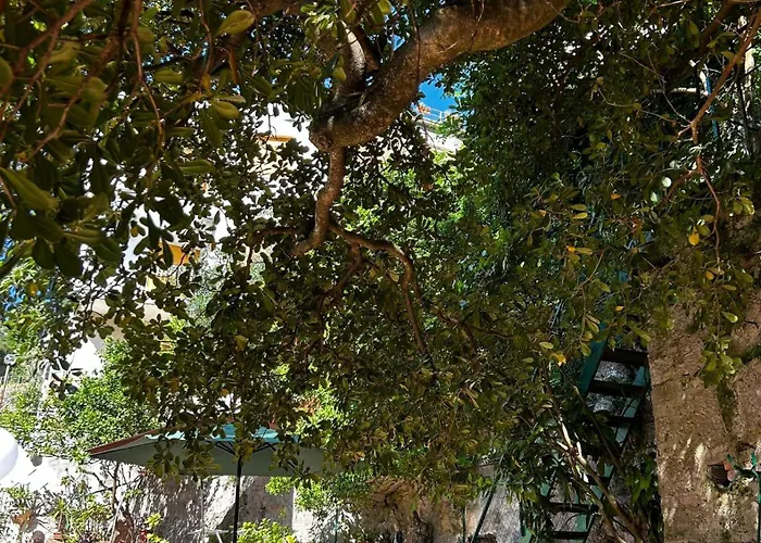 Bed and Breakfast The Secret Garden Vietri